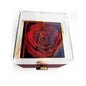 To My Mama – Speak to Her Soul Necklace - Preserved Rose Gift Box