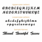 A font sample sheet showing uppercase and lowercase cursive letters in black, with sample names 'Blessed', 'Beautiful', and 'Secure' below. The labels are in muted orange text on a plain white background.