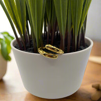 Load image into Gallery viewer, GOLD WRAP AROUND ME RING PLANT FRONT VIEW
